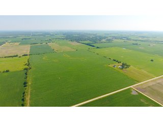 Property photo 1 - LAND AUCTION - 209.2+/- ACRES OFFERED IN 4 TRACTS IN NEWTON COUNTY, INDIANA